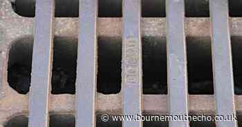 Claims drain clearing in Dorset has halted denied