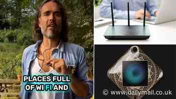 Do Wi-Fi signals cause you harm? Experts reveal the truth - as Russell Brand flogs 'magical amulet' which he insists will protect you from 'evil energies' in airports for an extortionate price