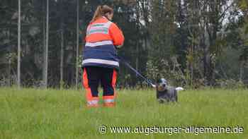 Verschwundenes Mädchen aus Eppisburg: Staatsanwaltschaft ermittelt weiter gegen die Eltern