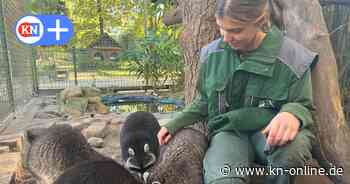 Tierpark Gettorf: Inka Pajer ist Schleswig Holsteins beste Tierpflegerin