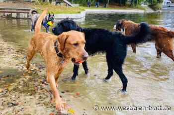 Tierischer Spaß im Waldbad Steinhagen