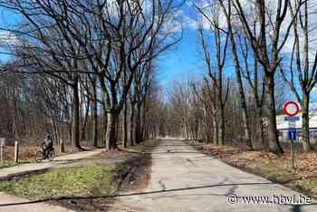 Genk zoekt ontwerper voor nieuw dierenasiel  in Zwartberg