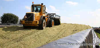 Kwaliteit maakt maïshandel wispelturig