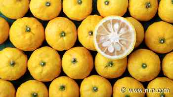 Yuzu, a tart, sweet flavor for beverages and more