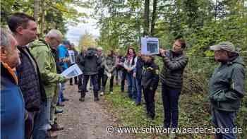Waldbegang in Simmozheim: Ausgleichsmaßnahmen werden gezeigt