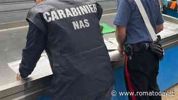 Blitz al mercato Esquilino: sequestrati 11 chili di granchio blu. Multe per 20mila euro