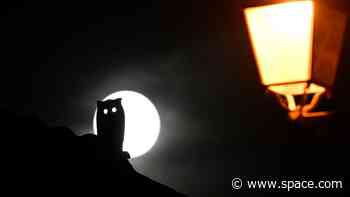 Hunter's Supermoon rises this week, the biggest full moon of 2024. Here's how to see it