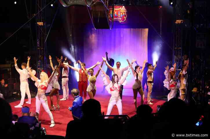 What’s happening | circuses, shows, trivia nights and more