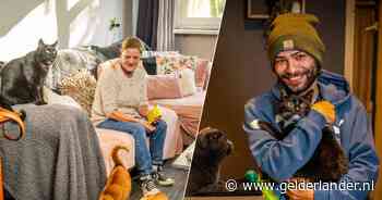 Jan leeft van uitkering en kan dierenartskosten voor vier katten niet betalen: ‘Eet zelf week noedelsoep’