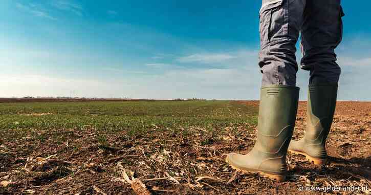 Verstandelijk beperkte man vernederd en uitgebuit op boerderij: zes tot zeven dagen per week stront scheppen