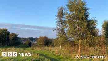 Nature reserve project seeks feedback on future