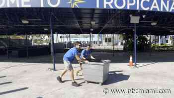 Stingrays return to Florida Aquarium after riding out Hurricane Milton at Tropicana Field
