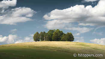 How to Recreate the Polarization Effect in Lightroom: A Step-by-Step Guide