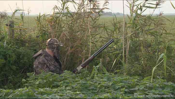 Flevoland - Op deze dieren mogen jagers schieten bij de start van het jachtseizoen
