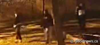 Winnipeg cops seek to ID three men in 2023 murder investigation