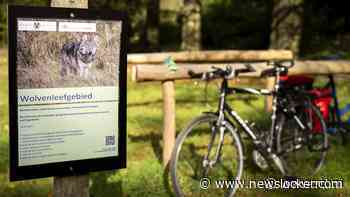Gemeente Leusden wil landelijk wolvenbeleid op korte termijn