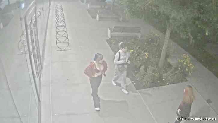 RCMP appeal for help in identifying 3 females in alleged Fraser Valley stabbing