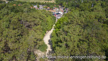 Spektakuläre Düne in den Niederlanden: Ein Herbstabenteuer