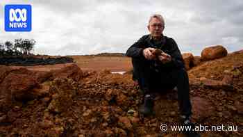 Scientists say this Australian native needs bauxite. A US mining giant is taking it