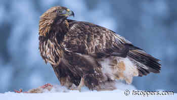 The One Time a Photographer Should Be Mean