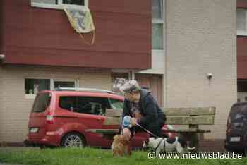 Onze chef media keek met verbazing naar ‘Wij zijn van Nienof!’: “Af en toe ‘In de gloria’, met een gevoel van onbehagen”