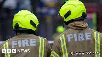 Two horses die after stables fire arson