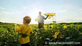 Erben : Viele Deutsche wissen nicht, dass sie von Freibeträgen profitieren