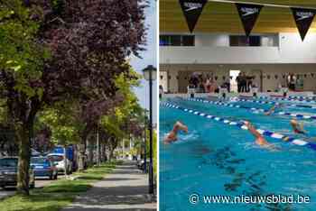 Heraanleg Ter Rivierenlaan: “Elke dag olympisch zwembad aan grondwater in riool”