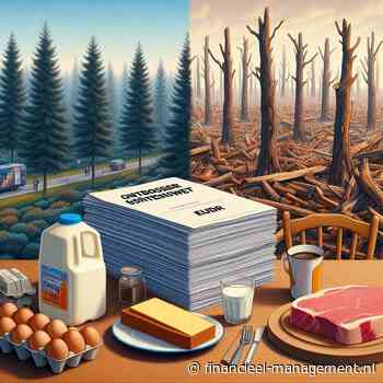 Financiële sector vergroot risico’s op ontbossing