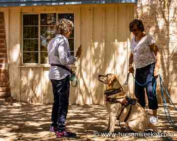 Gone to the Dogs: Film festival celebrates all-things canine