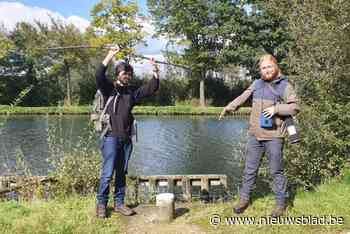 Twee studenten herontdekken veertig jaar verdwenen gewaande zeldzame waterplant in kanaal Bocholt-Herentals