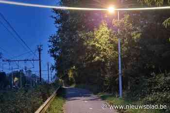 Fietssnelweg F209 krijgt 211 nieuwe lichtpalen