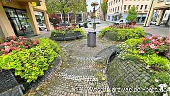 Urbaner Spielplatz: Abfuhr   für     die    Nagolder  Traube-Pläne