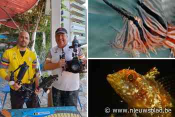 Vissenverzorger behaalt vijfde plaats op WK onderwaterfotografie