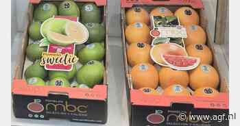 "Beste start Spaanse grapefruit in jaren"