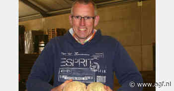 "Voor september hebben we extreem hoge volumes knolselderij geëxporteerd voor mooie prijzen"