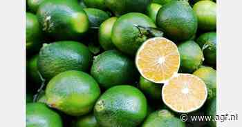RASFF: Chloorpyriofs in limes uit Brazilië