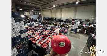 Turkse granaatappeloogst van start