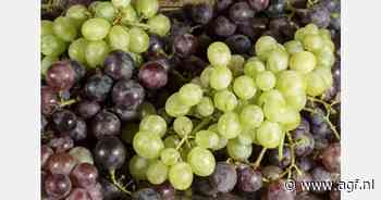 RASFF: Acetamipride in druiven uit Turkije