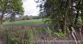 Green belt land 'for around 500' homes added to draft local plan