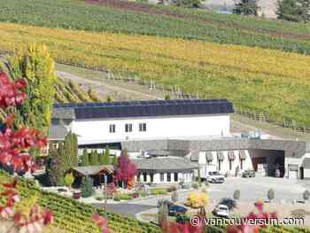 On the Vine: B.C. wineries looking beyond the border to source grapes
