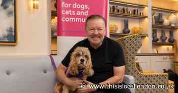 Ricky Gervais and Downton stars support animal charity fundraiser