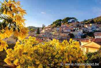 Franse departement Var is eregast van Winterpret