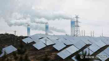 Rise of solar power ushers planet toward 'age of electricity,' energy agency says 
