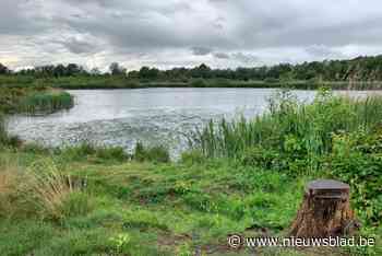 ‘Bosfluencer’ moet Genkenaars verborgen groene parels leren kennen: “Iemand met een hart voor de natuur”