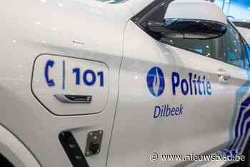 Bestuurder vlucht van politie en crasht bij spookrijden op N8