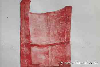 Boom krijgt met ‘halve schouw’ nieuw monumentaal kunstwerk op grens met Rumst