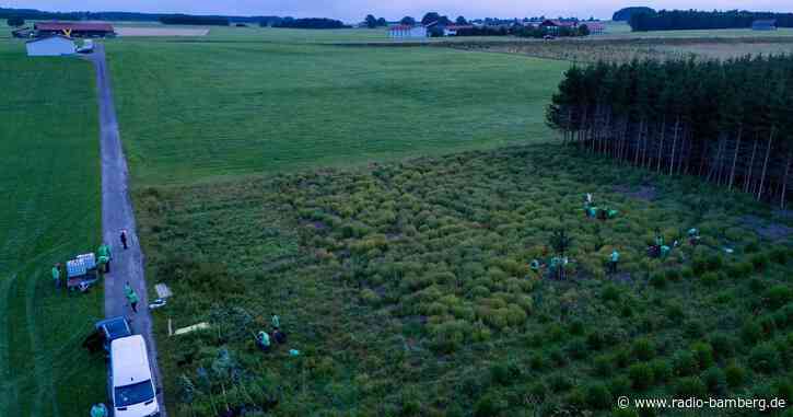 Bagger bereiten umstrittene Gasbohrung in Reichling vor