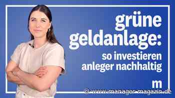 Geldanlage: Wie Sie Greenwashing erkennen können