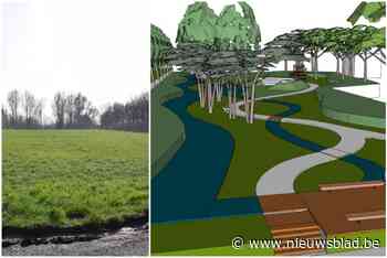 Poducent All-Drain bouwt samen met buurt weide om tot openbaar groen: “Bijdragen aan gezonde leefomgeving”